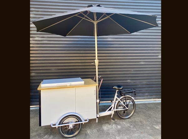 Electric Bike & Battery Freezer/Umbrella